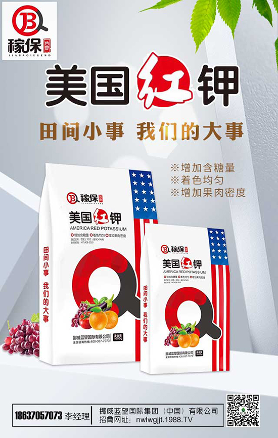 ���㻨�B(y��ng)ֳ��������Щ�����㻨�B(y��ng)ֳע����헣�