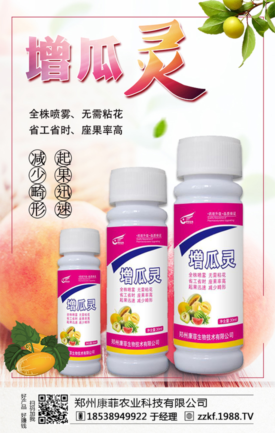 �����Ϲ���ô�Nֲ�������ϹϵķNֲ��Ҫ�c(di��n)��