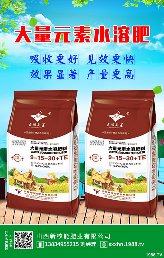 蒲公英種植盈利方式，一畝蒲公英經(jīng)濟效益怎樣？2020有種植前景么？