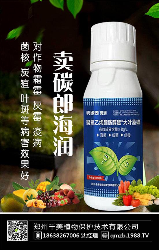 蘆筍什么季節(jié)種植？蘆筍常見病蟲害及防治！