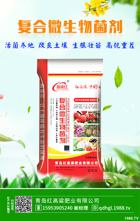 哪些地方適合種植白皮松？白皮松栽培技術(shù)管理