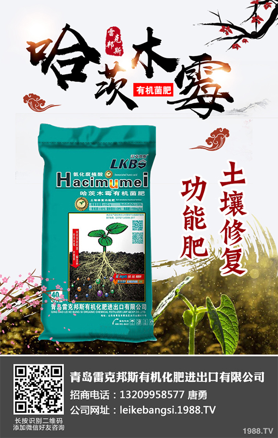 哪些地方適合種植白皮松？白皮松栽培技術(shù)管理