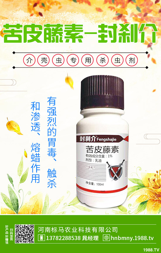 南方水稻什么時候播種，水稻播種育苗要點，快來看看