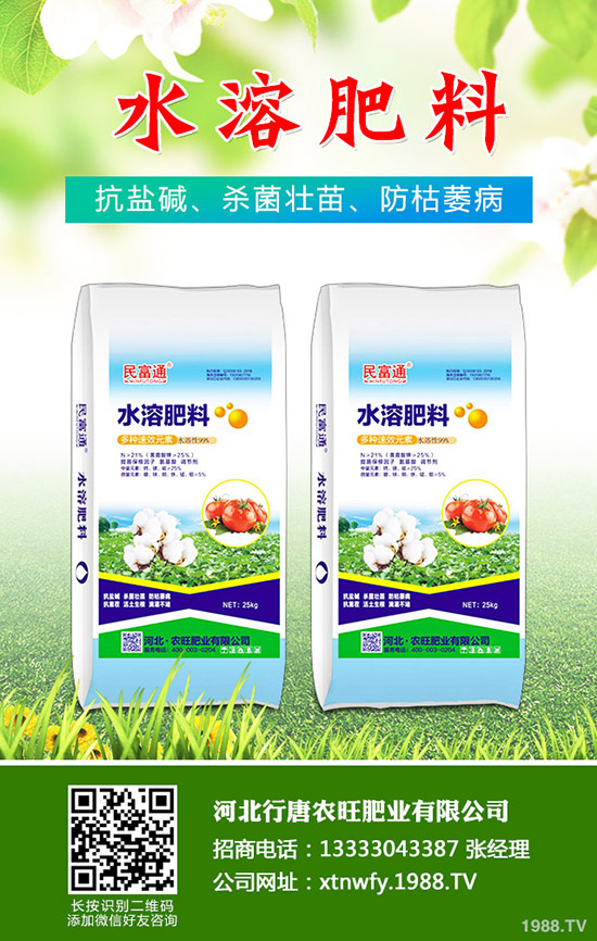 2019.11.29�ͺϷ����鲻�ز��������ڏͺϷʃr���߄ݷ�����