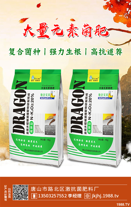 白皮松移栽后枯黃是咋回事？該怎么解決？快來看看吧