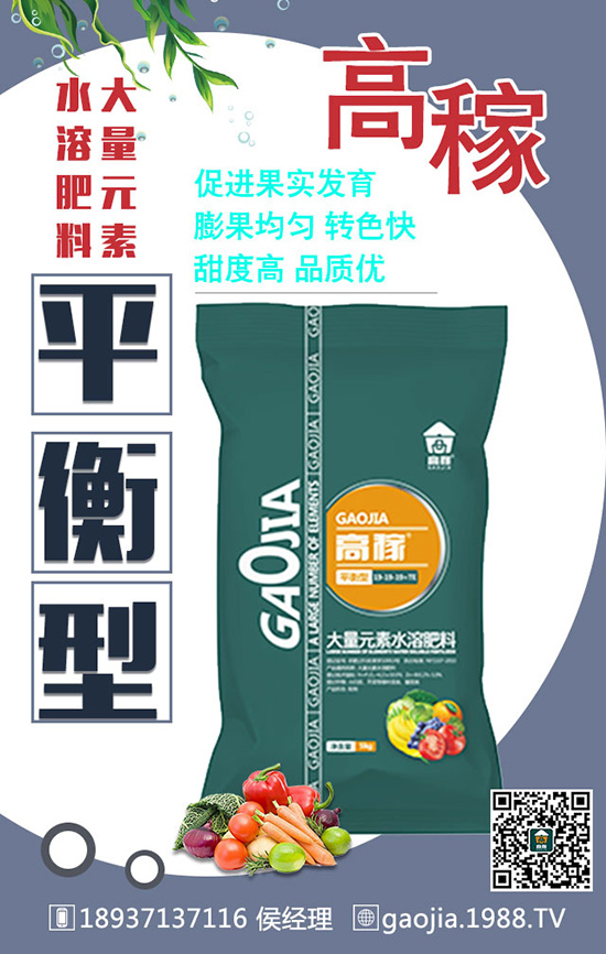 ͬ�ӵĻ�����ͬ�ӵİ��b����ͬ�ăr(ji��)����ԭ�򾿾������