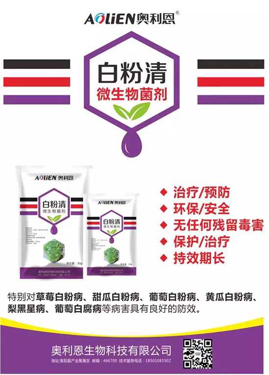 �׷۲�������(f��)�y�p���� ӛס�@��(g��)ˎ����Ч���ΰ׷۲����P����