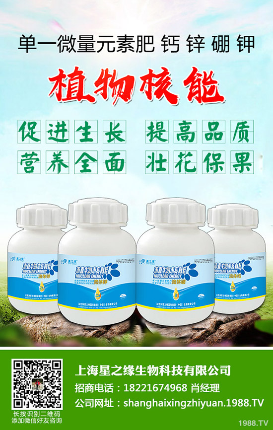 ѿ�����ӷNֲ��ѿ�˷Nֲ���g(sh��)���˽���٣�