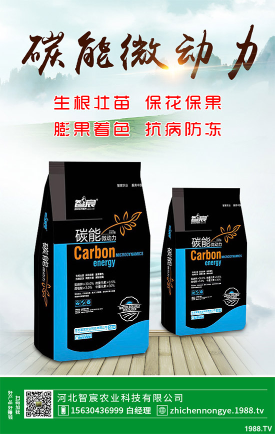 ħ��ԓ��ô�N��ħ��߮a(ch��n)�Nֲ��������