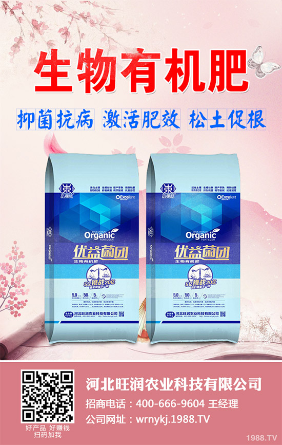 ����²�ԓ��ô�N����������²˷Nֲ���g(sh��)Ҫ�c