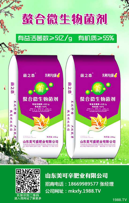     2019-12-11���@�����MչǷ��������������@�r���rһ�[