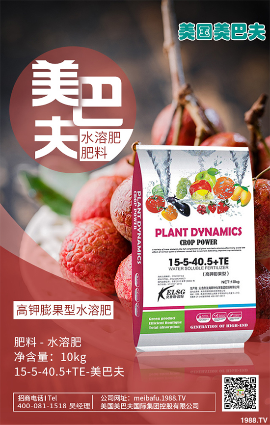 芽苗菜種植前景如何？芽苗菜的種植方法！