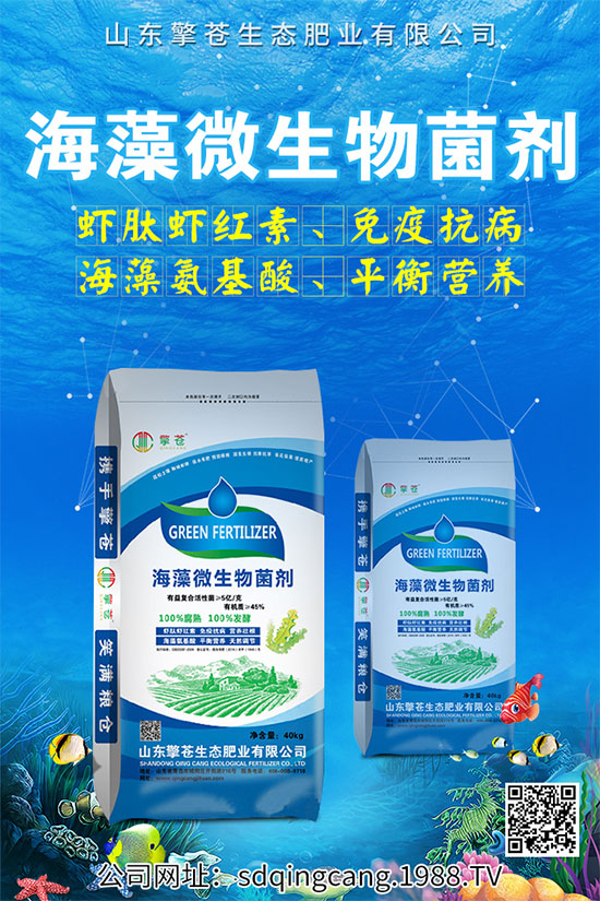 ������˥ʲô�Y����������˥�ķ��δ�ʩ��