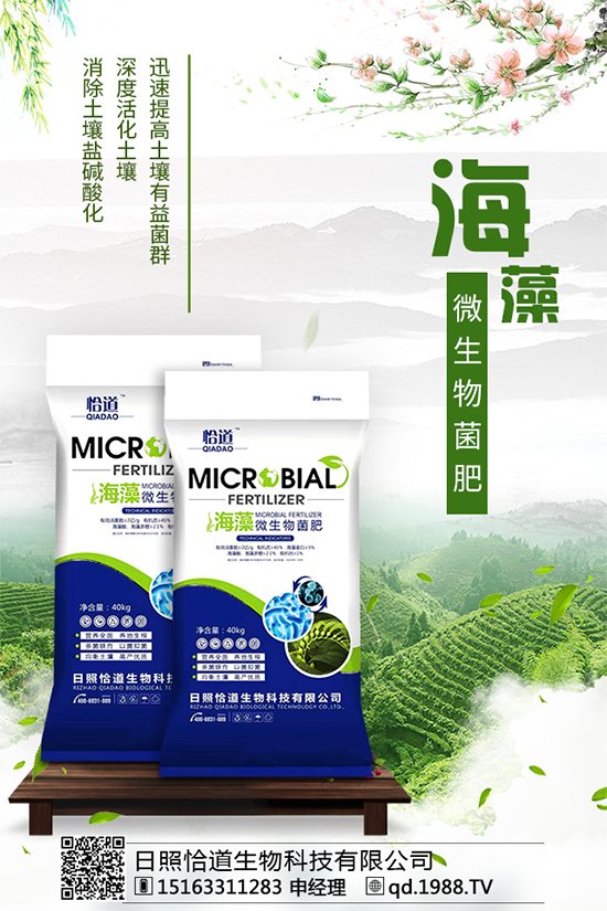 龍膽草的分布地區(qū)，龍膽草的功效與作用！