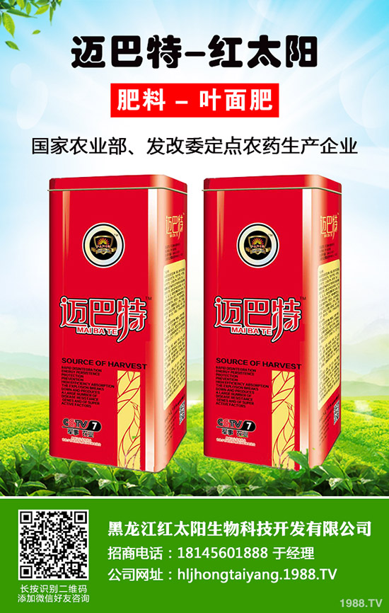 韭菜為什么不分蘗？什么因素影響了韭菜分蘗？