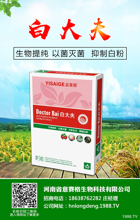 ���Ѷ���ʲô�r���^�ã����Ѷ�����ʲô������