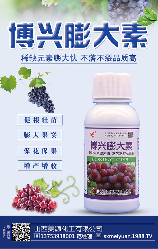 葡萄冬灌時(shí)間 葡萄冬灌方法