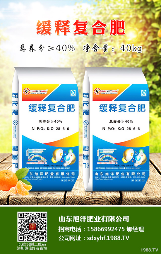 貢菊、杭白菊和胎菊有哪些不同之處？產(chǎn)地在哪？快來看看吧！