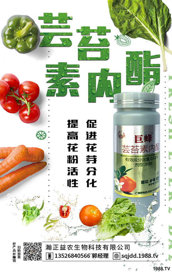 2019-12-18國內(nèi)鉀肥價格市場行情及行情走勢分析