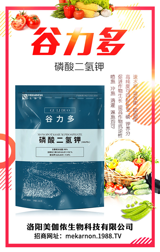 黃桃種植價格 黃桃種植前景 黃桃種植收益