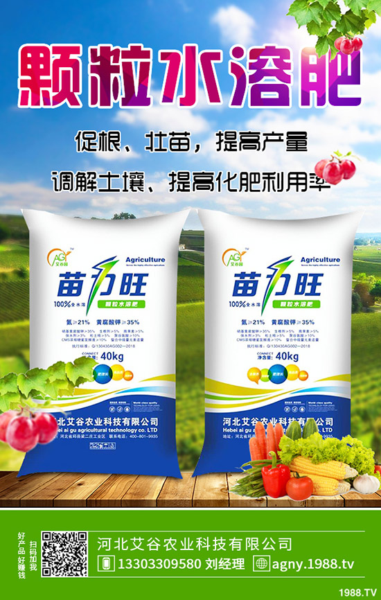 ����ʲô�r(sh��)��N�������ķNֲ�l������Щ��