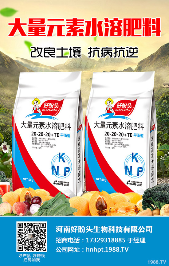 С������ĺ�̎����Щ��С������ע��Ҫ�c��