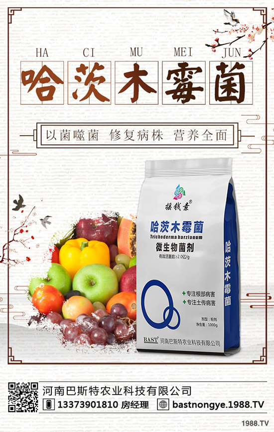 冬儲(chǔ)行情即將啟動(dòng)！最新鉀肥價(jià)格行情預(yù)測(cè)2019-12-20