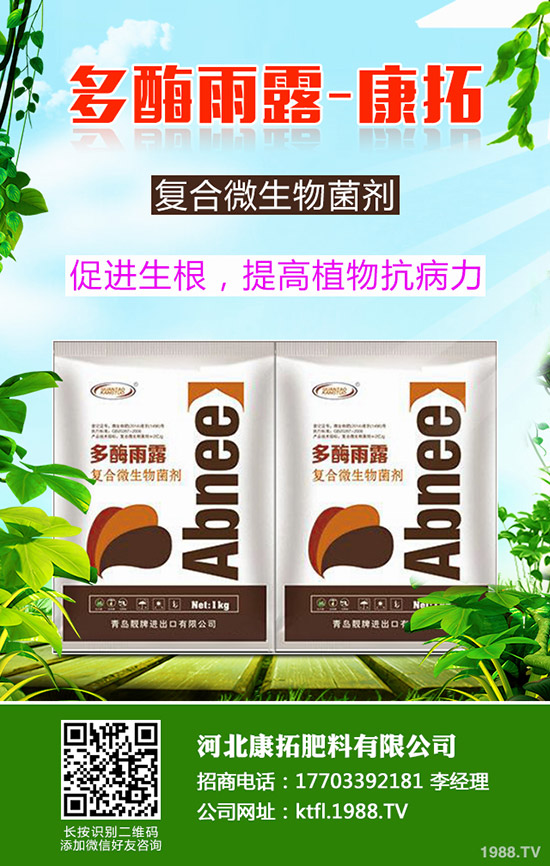 尿素每噸多少錢？2019-12-20今日各地尿素價格走勢分析