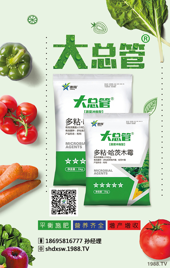 2020年蒜苗種植賺錢嗎？成本多少錢？效益怎么樣？前景如何？