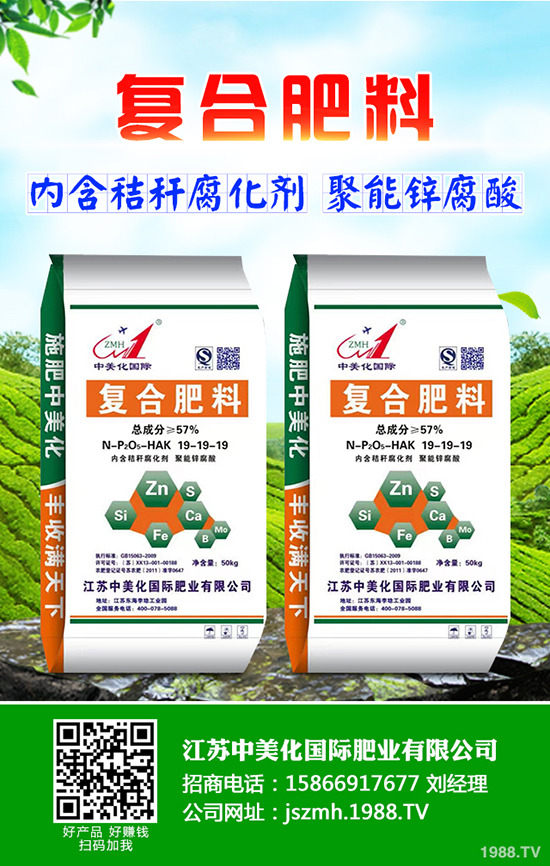 2020年茶油樹種植前景怎么樣？茶油樹種植方法有哪些