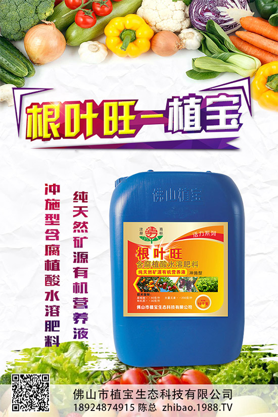     柚子有許多品種，各有各的風(fēng)味。但眼尖的人會(huì)發(fā)現(xiàn)，市面上賣的紅肉蜜柚比普通蜜柚要貴上許多。同樣是柚子，外表看起來也差不多，紅肉蜜柚憑什么比白肉柚子貴？