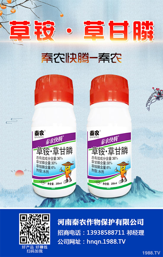 Prentiss�������������s�ݳ��݄�Camp-D ��2��4-D�Ͱ��������