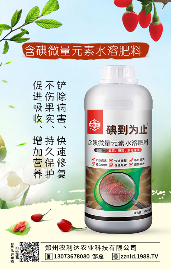 �t�}����ι��������S�գ�����ƌW(xu��)�����҂�֪������