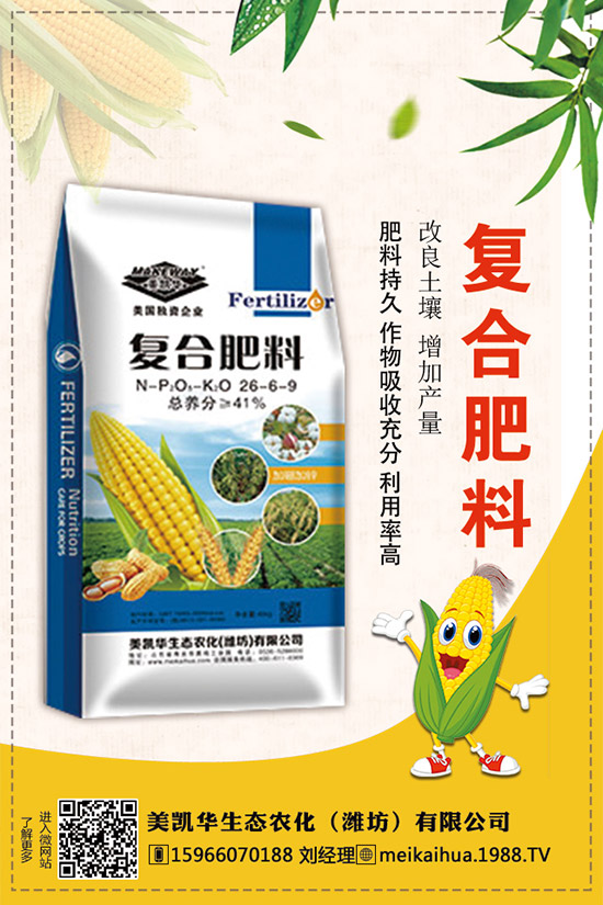     2019�������һ�@��������r��C�Ϸ��������