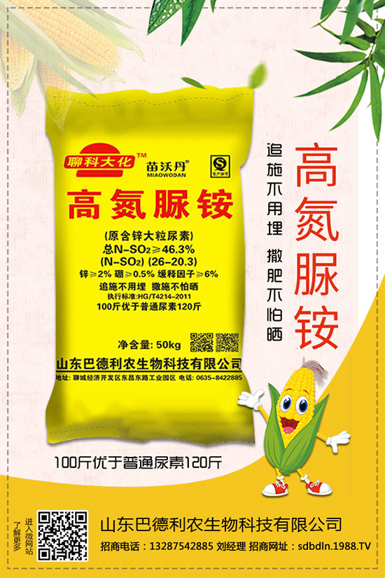     ����⛷�2019�������r��C���u�y������