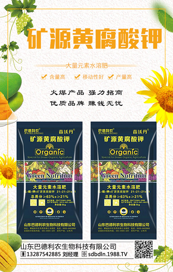     ��(f��)�Ϸ�����q�����F(xi��n)��2019��12��ĩ���r(ji��)���߄�(sh��)�A(y��)�y(c��)��