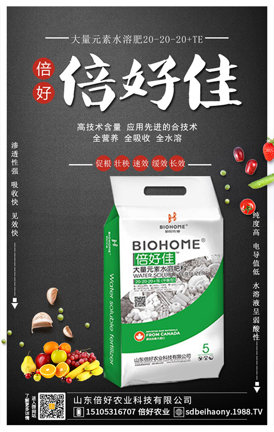     2019葡萄價格低的原因！2020年葡萄種植賺錢么？種植前景及成本分析！