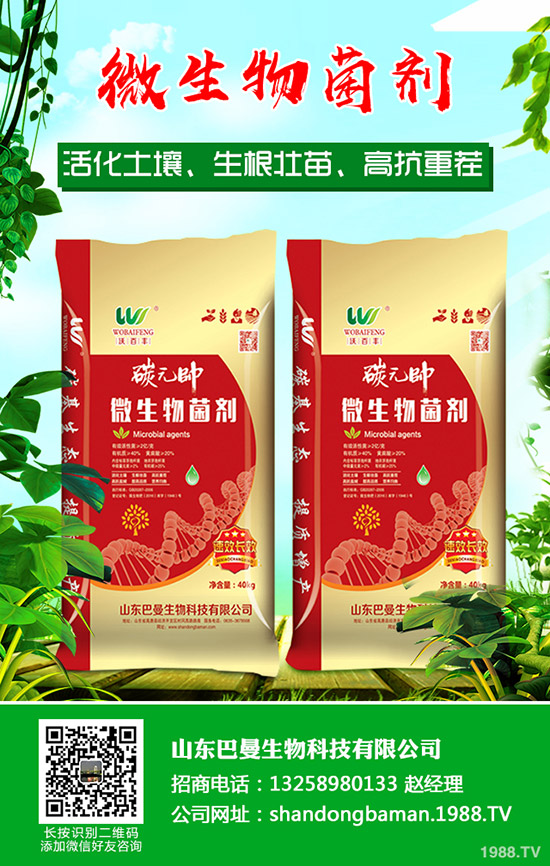     �R�����P(gu��n)������(ji��)���g������I(y��)����ͣ�a(ch��n)��2019��12��ĩ�������������߄�(sh��)��