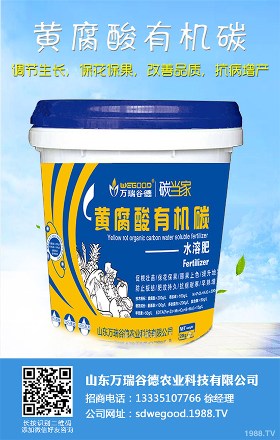 ħ��r������Xһ����2020��ħ��Nֲ���Ј�����