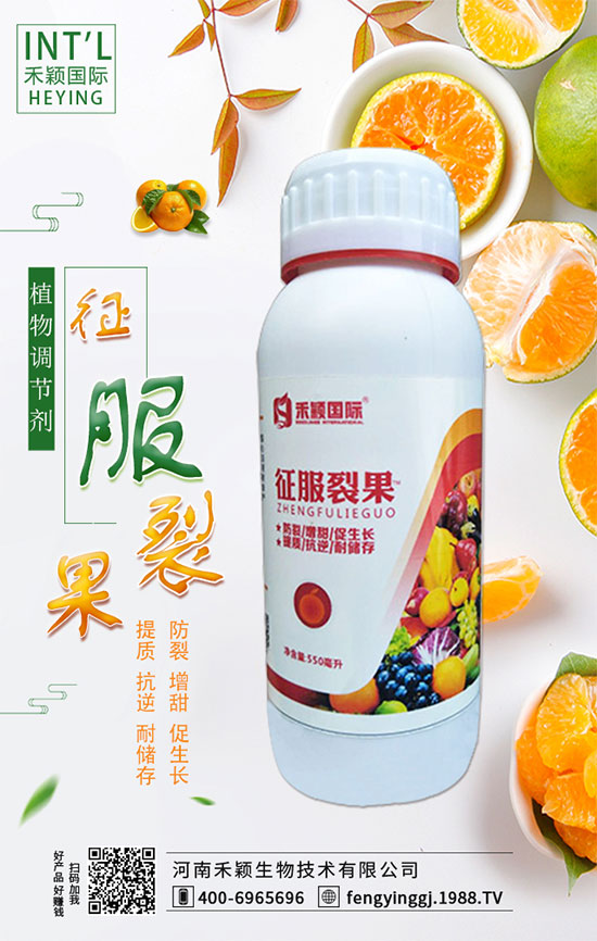 ľ����ʲô�r�g�Nֲ��ľ���˷Nֲ������