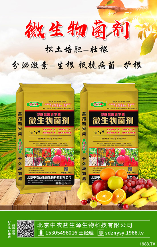     2019��12�µ׻������鲻�ز�����2020�껯�ʃr�������߄��A�y��