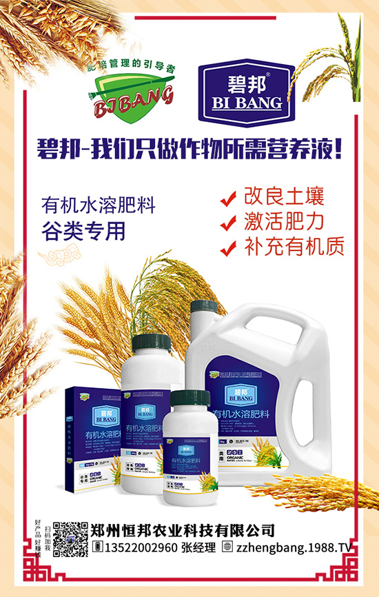 ����������Щ��̎������Ĺ�Ч���ü�ʳ�ý���