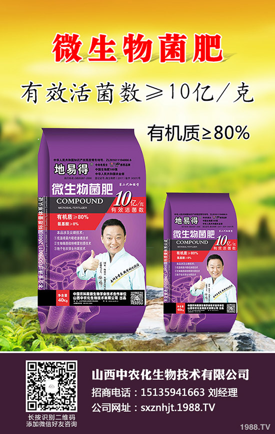     2020早春玉米在那些地區(qū)種植合適？春玉米種植播種時期及技術(shù)要點！