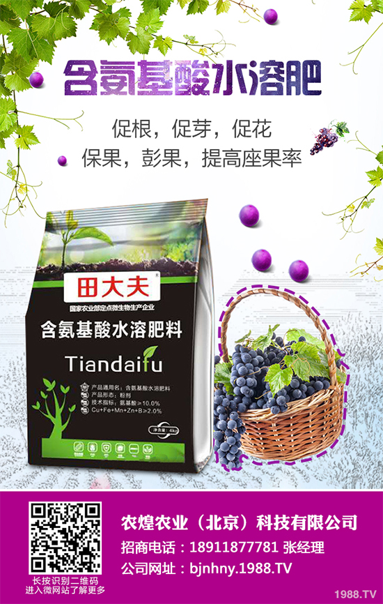 降雪過后,蔬菜大棚你知道該怎么管理嗎?