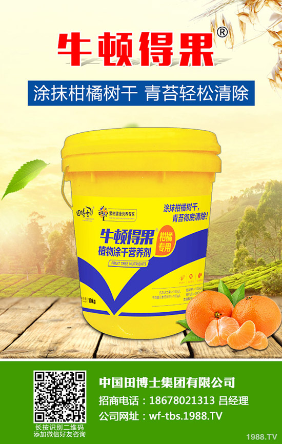 2020種草莓賺錢嗎?草莓種植的成本及前景預(yù)測!