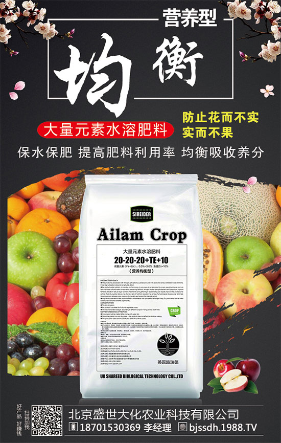 2020��Ԫ���������׷ʃr���ϝq�ˆ���2019��12�µ������׷������Ӎ��