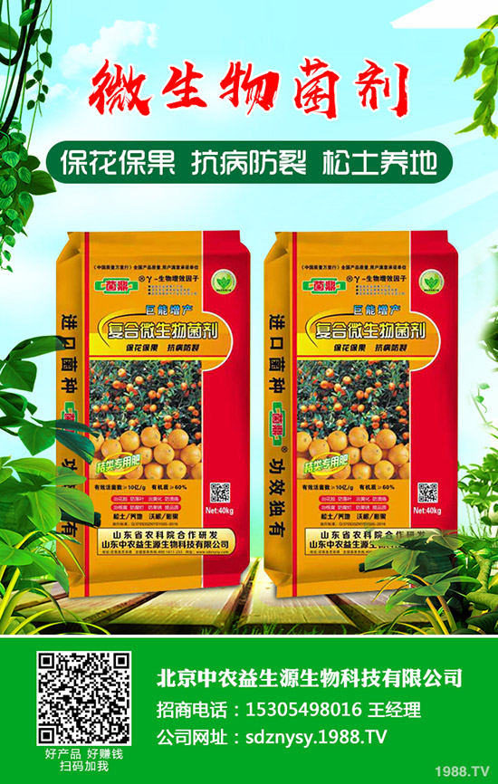     2020��1��1�����굽�����@�����Ƿ���׃�����¶��@�r(ji��)�����(b��o)��