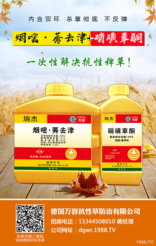 ������Nֲ�ļ���(ji��)�����Ӹ߮a(ch��n)�NֲҪ�c(di��n)��