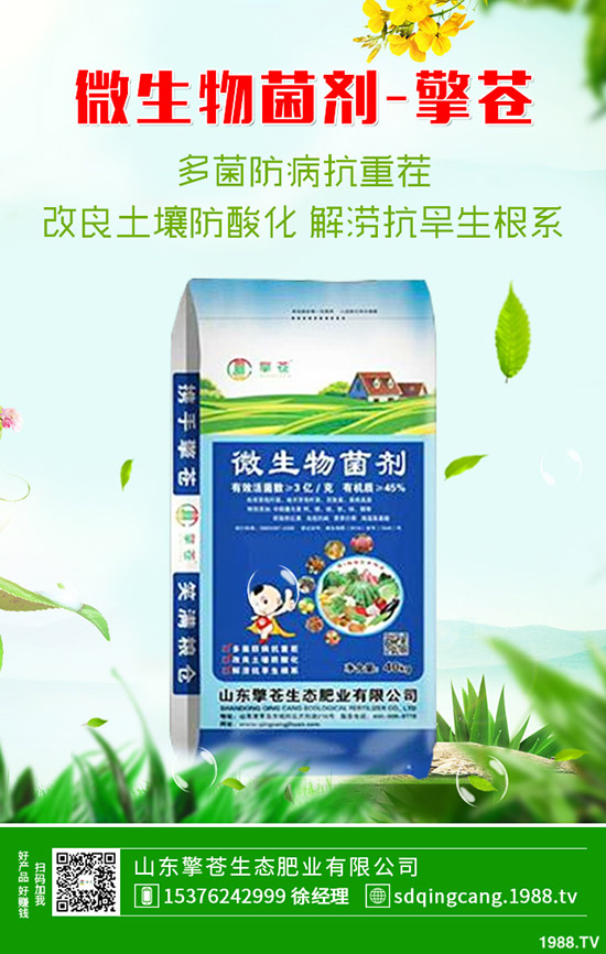     2019-12-7����һ�@�������������һ�@���r�������