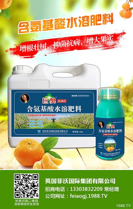 我國南方該怎樣種植藍(lán)莓？藍(lán)莓高產(chǎn)種植技術(shù)要點(diǎn)